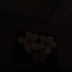 Meet your Posher, Nidia